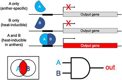 Plant Biology Research: What Is Next?